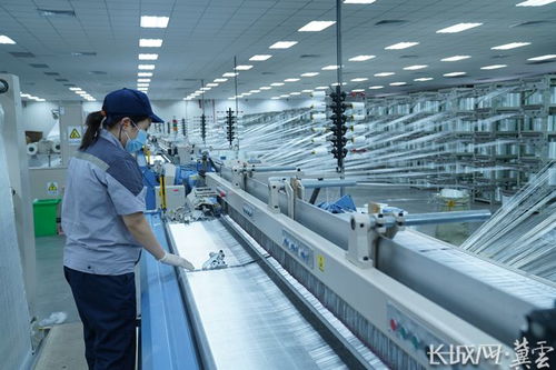 学思用贯通 知信行统一 冀中能源打造百亿级玻璃纤维产业集群与新兴能源技术研发